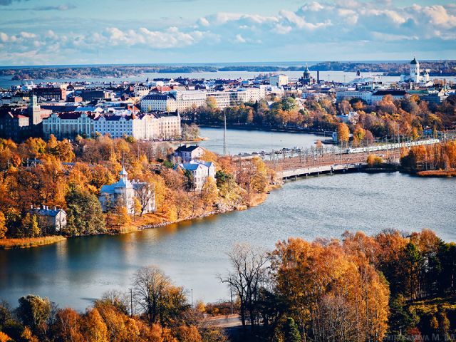 Закон "О защите животных" в Финляндии