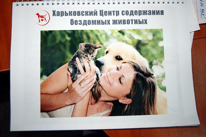 Харьковский приют для животных