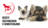 ПShelter for animals in Kharkov