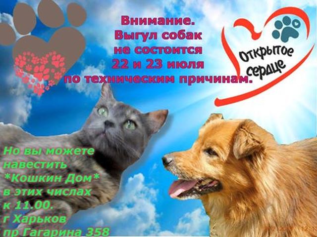 Выгул собак в КП Центр обращения с животными Харьков