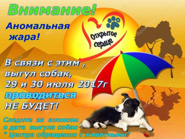 Выгул собак в КП центр обращения с животными Харьков