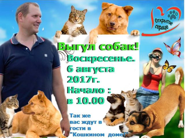 Выгул собак и посещение "Кошкин Дом" -в КП Центр обращения с животными Харьков