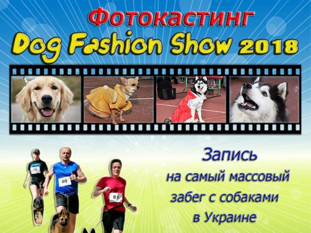 Центр обращения с животными ведет запись желающих принять участие в самом массовом забеге собак в Украине