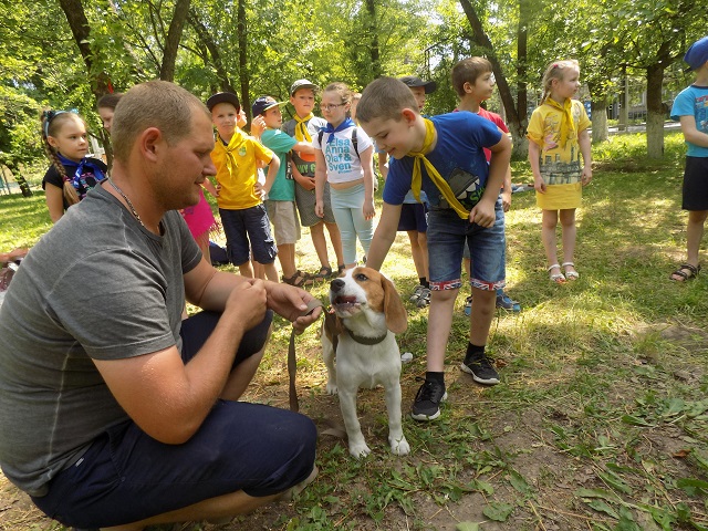 Воспитываем в детях осознанную любовь к собакам или как в Харькове проходит «Марафон добра»