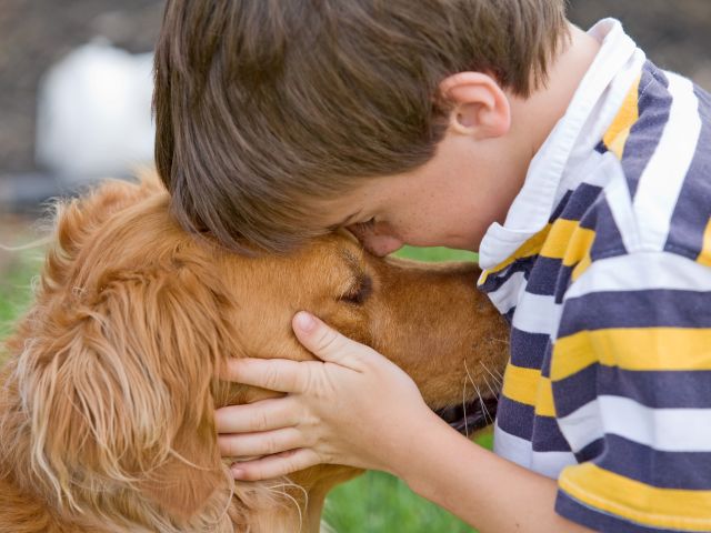 2 июля КП «Центр обращения с животными» празднует Международный день собаки