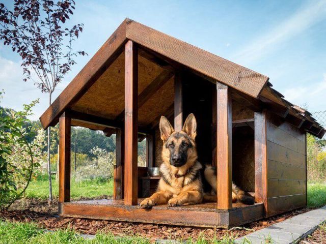 Утепленная и отапливаемая будка для собаки