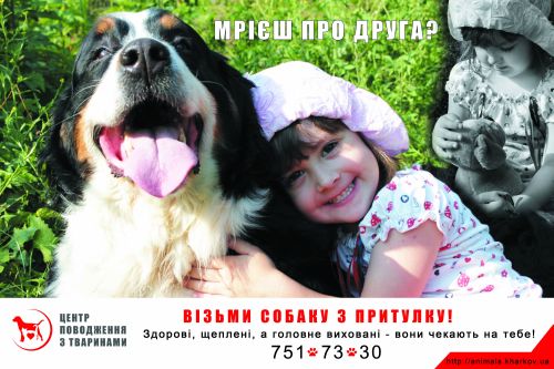 Харьковский приют для собак и кошек