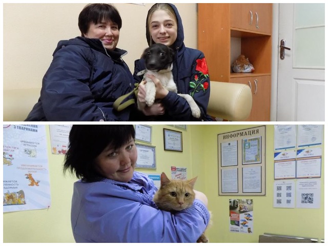 пристроенные животные из Центр обращения с животными Харьков