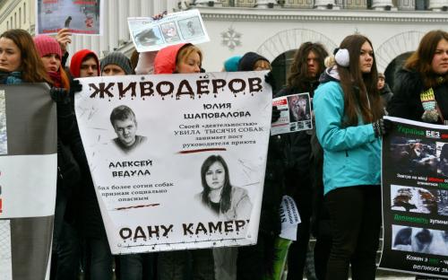 митинг, прошедший в Киеве под зданием Деснянского суда