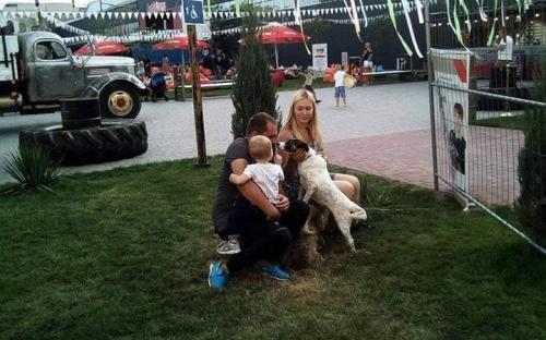 Собаки приюта КП "Центр обращения с животными" приняли участие в "Семейном вечере" Арт - завода "Механика"