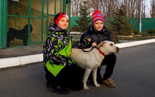 Ученики 135 харьковской школы побывали в гостях в Центре обращения с животными.
