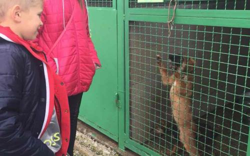 Ребята из 77 школы побывали на экскурсии в "Центре обращения с животными"