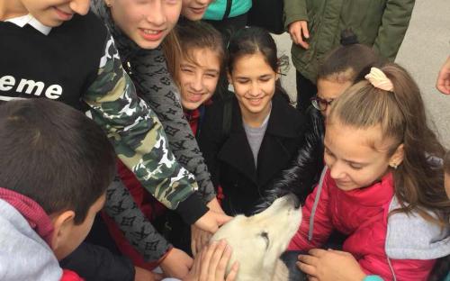 Ребята из 77 школы побывали на экскурсии в "Центре обращения с животными"