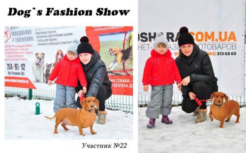 Костюмированный праздник для собак Dog`s Fashion Show