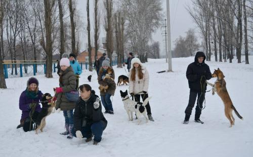 Центр обращения с животными и волонтеры группы "Открытое сердце" примут участие в зимнем Фестивале 14 января