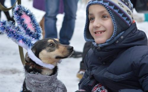 Центр обращения с животными и волонтеры группы "Открытое сердце" примут участие в зимнем Фестивале 14 января