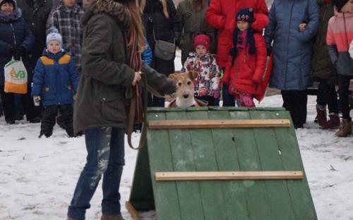Центр обращения с животными провожал зиму в Писочине. 