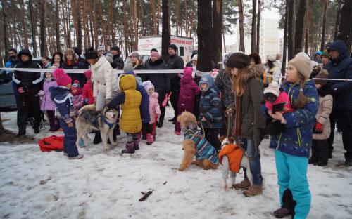 Центр обращения с животными провожал зиму в Писочине. 