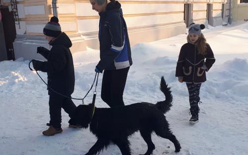 Петр Полященко провел занятия с собаками терапевтами в комплексе им. Короленко