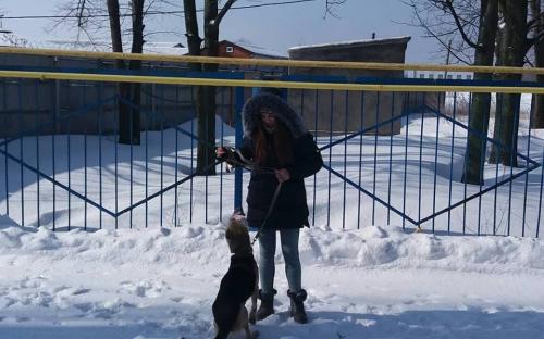 Выгул питомцев харьковского Приюта для бездомных животных 4 марта