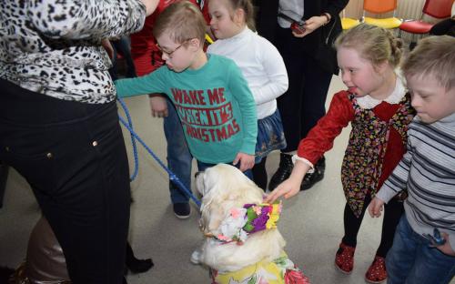 "Уроки доброты" и собак-терапевтов от Центра обращения с животными принимал центр "Семья"