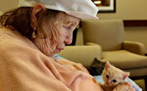 В США объединили дом престарелых и приют для животных