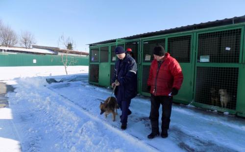 В приюте Центра обращения с животными около 120 собак ждут новых хозяев