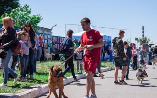 Самый масштабный в Украине пробег людей вместе с собаками