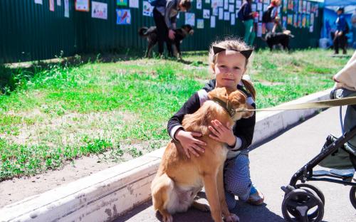Самый масштабный в Украине пробег людей вместе с собаками