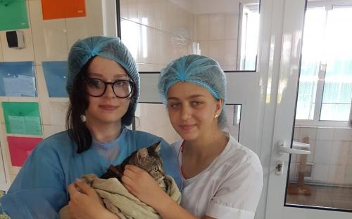 КП "Центр обращения с животными" проводит "банные дни" для приютских котиков