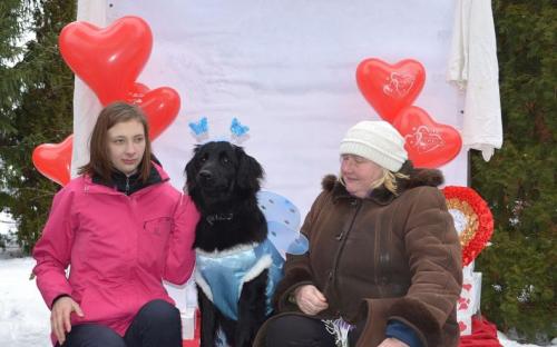Лохматая команда из Центра обращения с животными праздновала День Святого Валентина в зооветеринарной академии