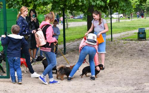 На Салтовке открыта 39-я площадка для выгула и дрессировки собак в городе Харькове