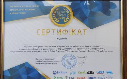 КП «Центр обращения с животными» стало официальным членом Украинской ассоциации врачей ветеринарной медицины мелких животных (USAVA)