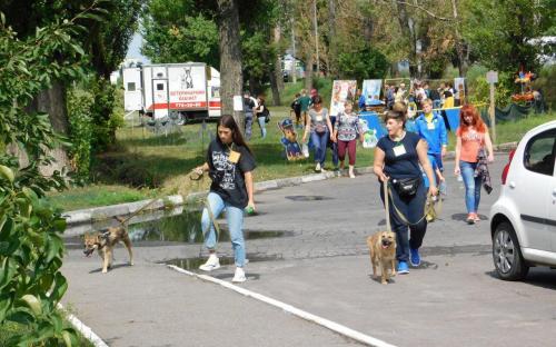 КП "Центр обращения с животными" посетило рекордное количество харьковчан