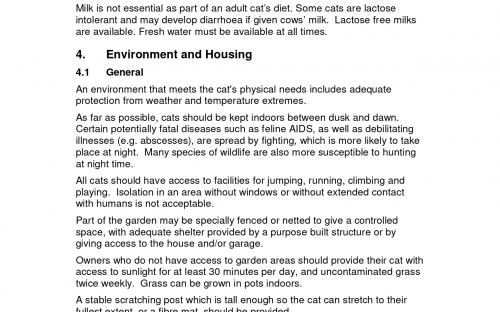 Правила содержания кошек  на территории федеральной  столицы Австралии
