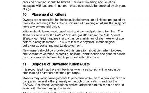 Правила содержания кошек  на территории федеральной  столицы Австралии