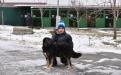 В Харьковском центре содержания бездомных животных состоялся праздничный День открытых дверей
