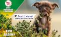 КП "Центр обращения с животными" - реклама животных приюта к новогодним праздникам