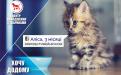 КП "Центр обращения с животными" - реклама животных приюта к новогодним праздникам