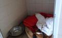 В КП "Центр обращения с животными" в зоне карантина оборудовали боксы для содержания щенков и короткошерстных собак