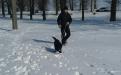 Выгул питомцев харьковского Приюта для бездомных животных 4 марта
