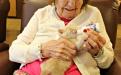 В США объединили дом престарелых и приют для животных