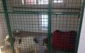 Харьковский приют для бездомных животных