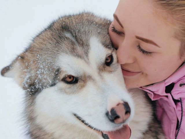 Что думают о нас собаки, когда мы улыбаемся – ученые выяснили